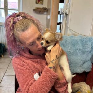 Chihuahua lof chiot femelle disponible