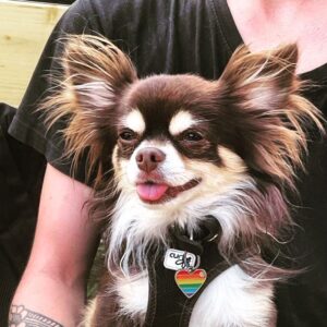 Monsieur Raymon Cherche De Nouveau Une Amoureuse - 84100 - unCompagnon.fr