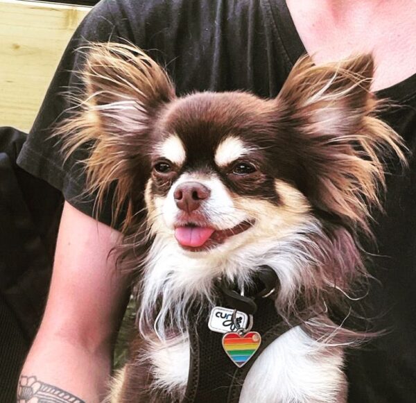 Monsieur Raymon Cherche De Nouveau Une Amoureuse - 84100 - unCompagnon.fr